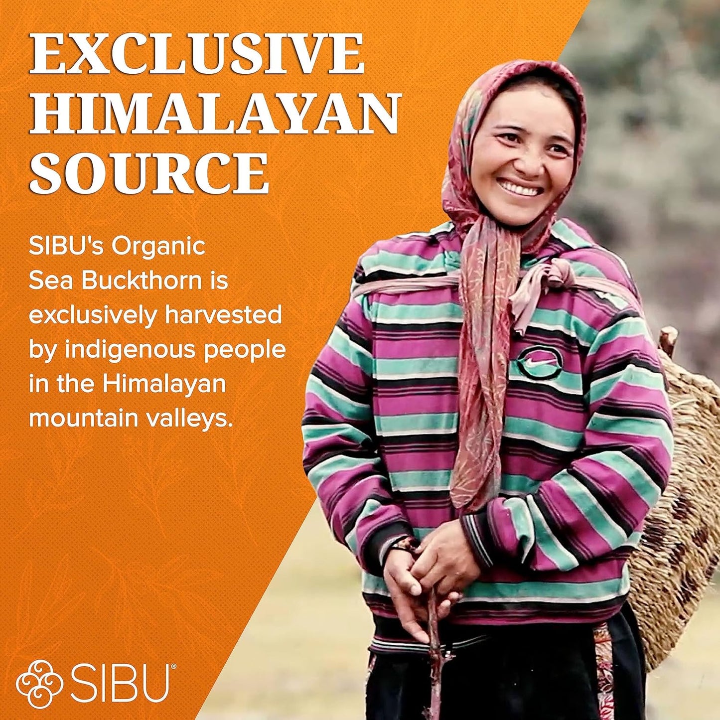 Sea Buckthorn Polishing Facial Cleanser (4Oz), Face Wash Made from Premium Himalayan Sea Berry Oil – Moisturizes Skin, Reduces Blemishes, Removes Make-Up